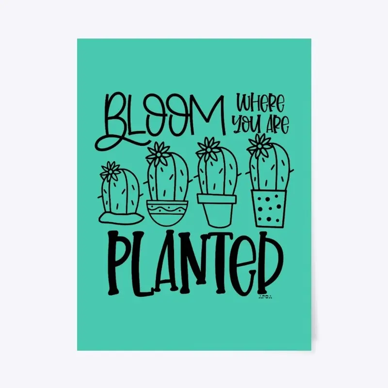 Bloom Where You Are Planted Collection