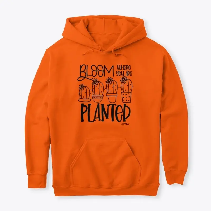 Bloom Where You Are Planted Collection