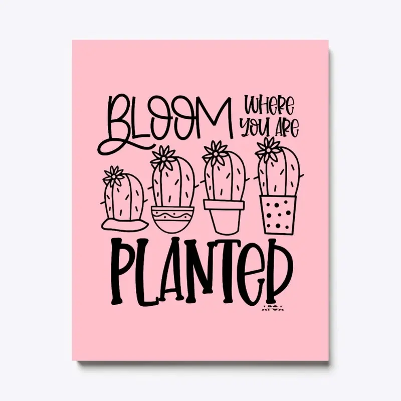 Bloom Where You Are Planted Collection